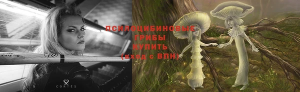 PSILOCYBIN Алексин