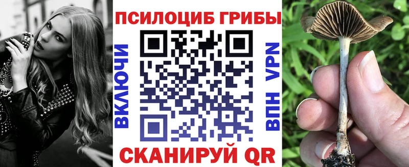 Галлюциногенные грибы ЛСД  Сосновка 